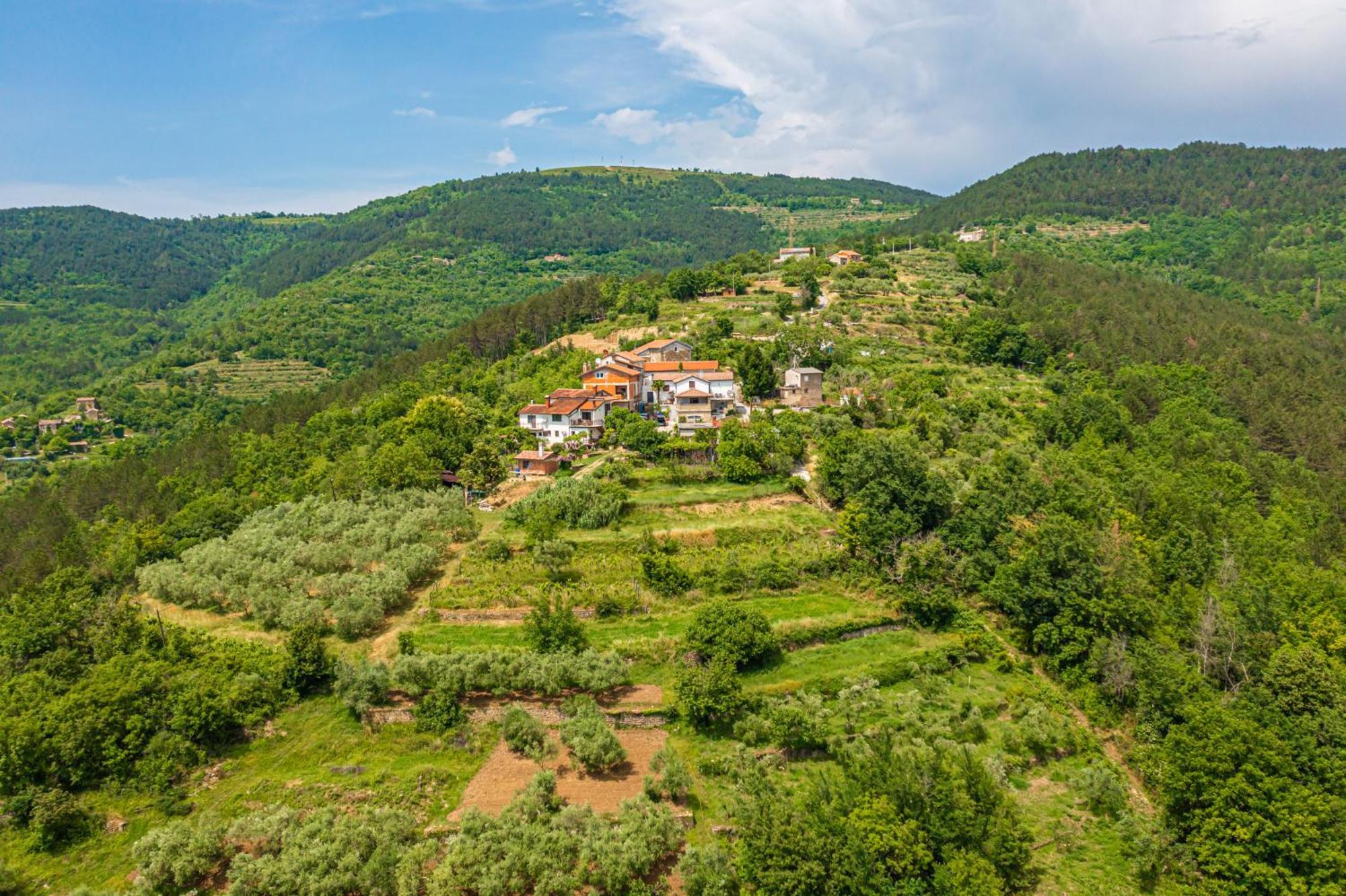 Holiday Home Belveder Motovun With Heated Pool Livade Екстер'єр фото