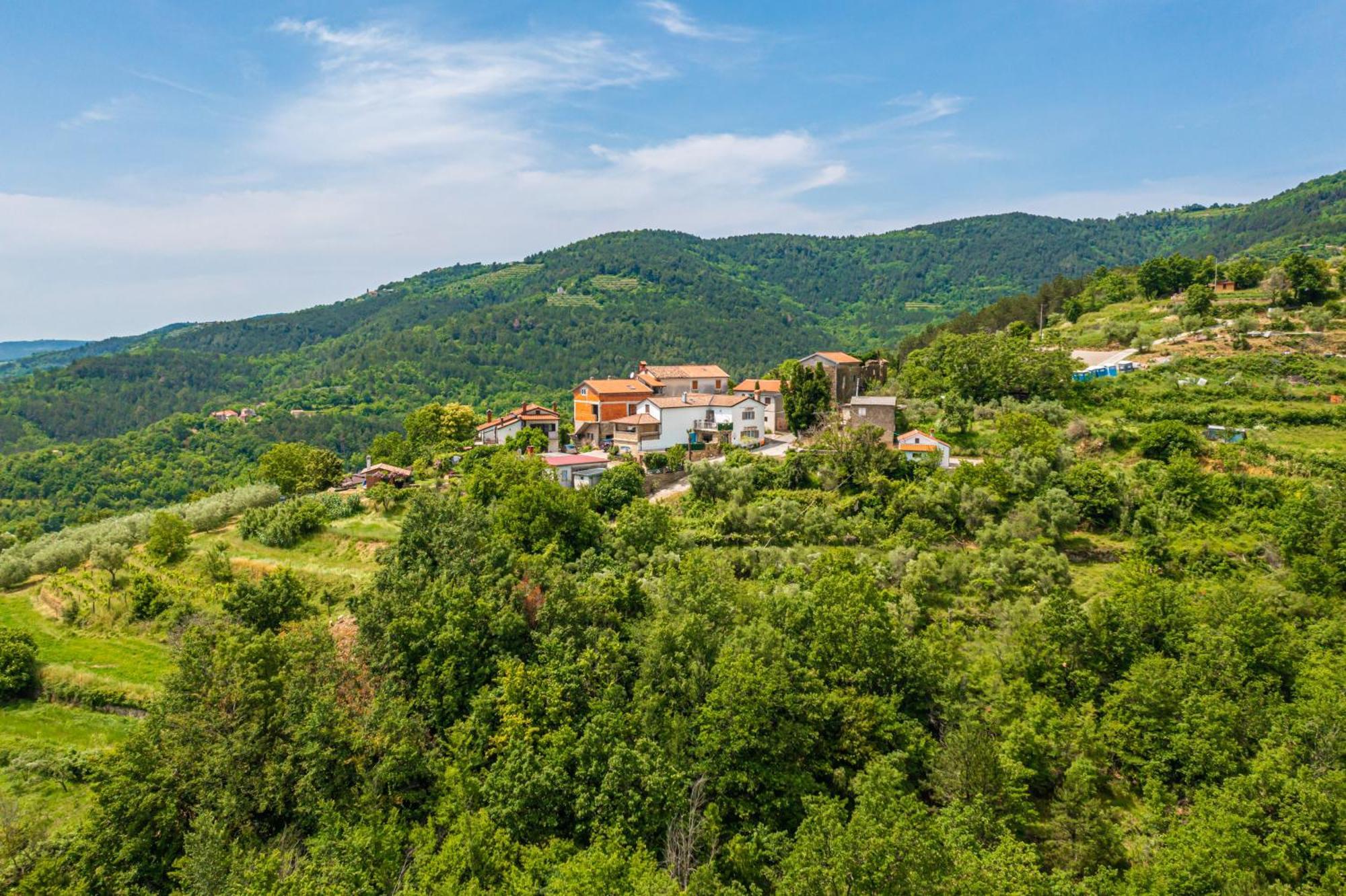 Holiday Home Belveder Motovun With Heated Pool Livade Екстер'єр фото