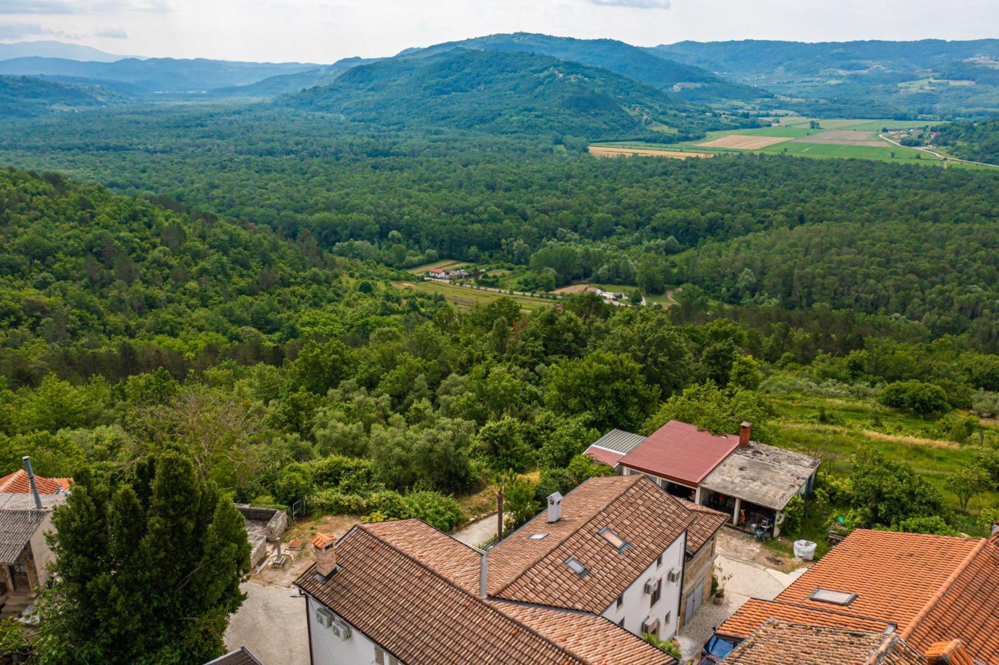 Holiday Home Belveder Motovun With Heated Pool Livade Екстер'єр фото